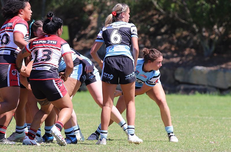 HNWP Rnd 2 BEARS v SHARKS