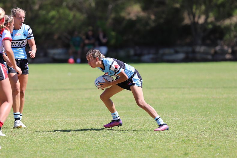 HNWP Rnd 2 BEARS v SHARKS