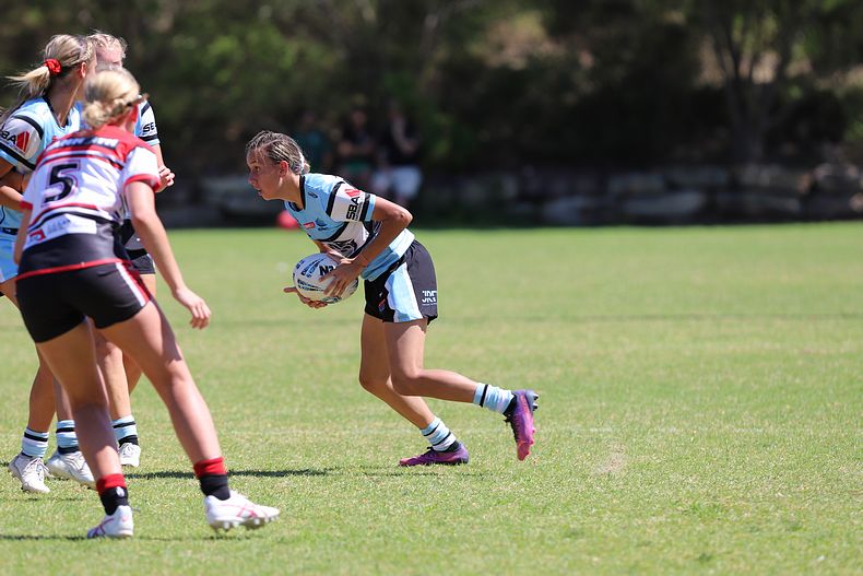 HNWP Rnd 2 BEARS v SHARKS