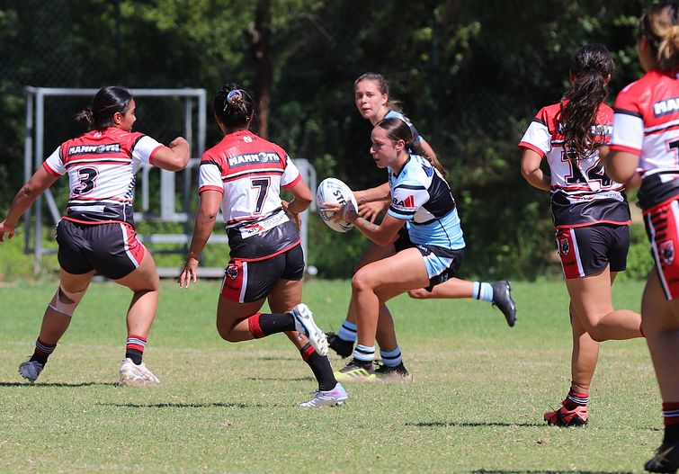 HNWP Rnd 2 BEARS v SHARKS
