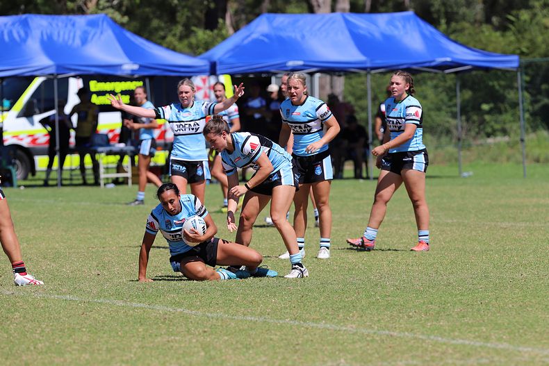 HNWP Rnd 2 BEARS v SHARKS