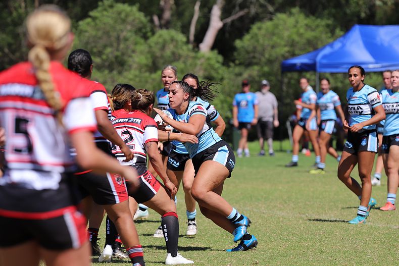 HNWP Rnd 2 BEARS v SHARKS