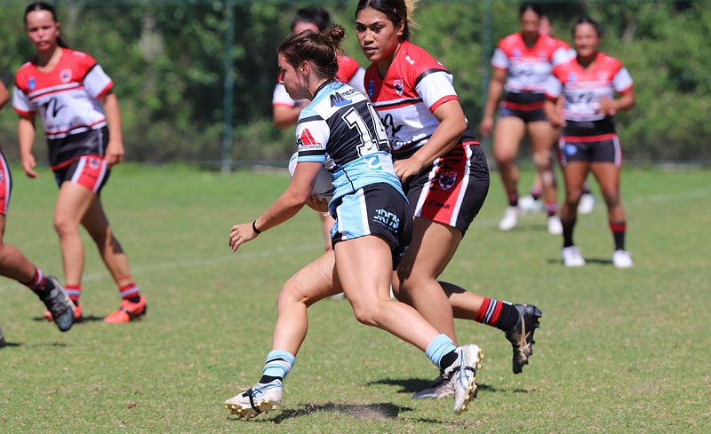 HNWP Rnd 2 BEARS v SHARKS