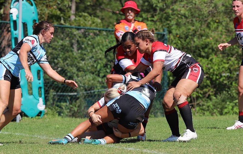 HNWP Rnd 2 BEARS v SHARKS