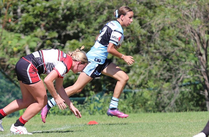 HNWP Rnd 2 BEARS v SHARKS