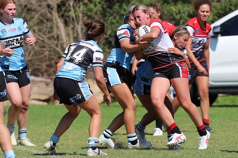 HNWP Rnd 2 BEARS v SHARKS