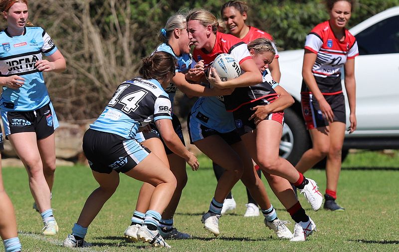 HNWP Rnd 2 BEARS v SHARKS