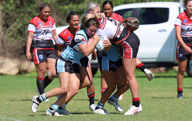 HNWP Rnd 2 BEARS v SHARKS