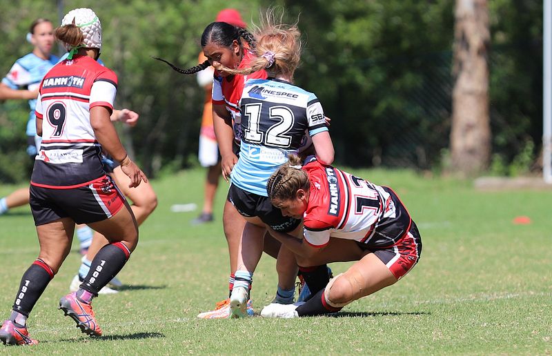 HNWP Rnd 2 BEARS v SHARKS