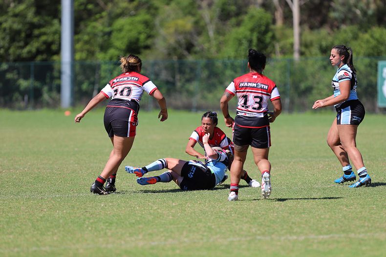 HNWP Rnd 2 BEARS v SHARKS