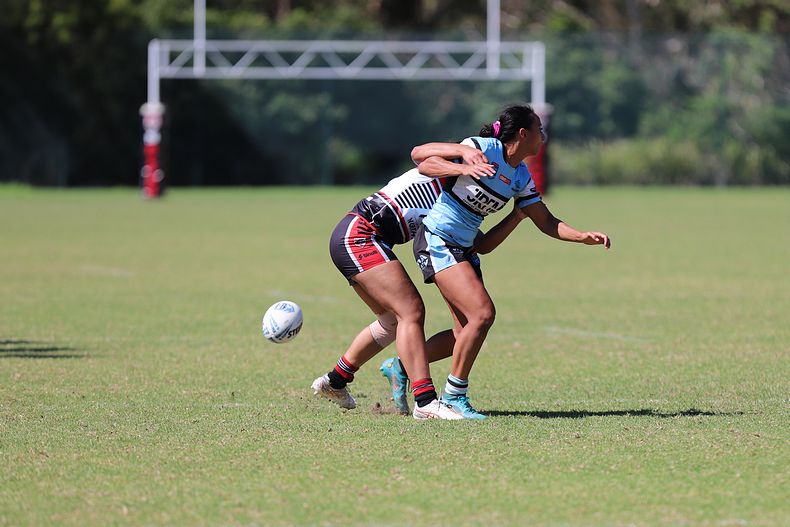 HNWP Rnd 2 BEARS v SHARKS