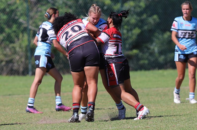 HNWP Rnd 2 BEARS v SHARKS