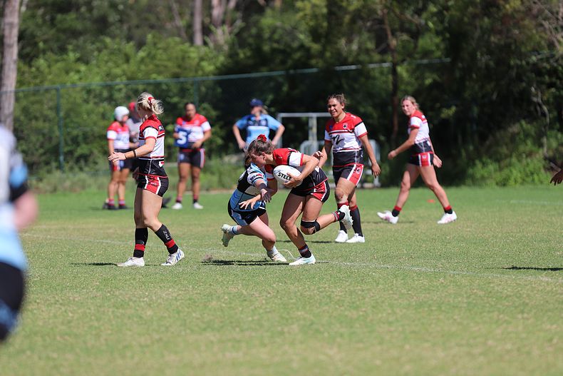 HNWP Rnd 2 BEARS v SHARKS