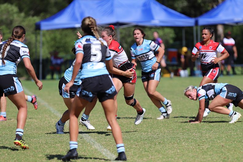 HNWP Rnd 2 BEARS v SHARKS