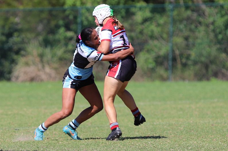 HNWP Rnd 2 BEARS v SHARKS