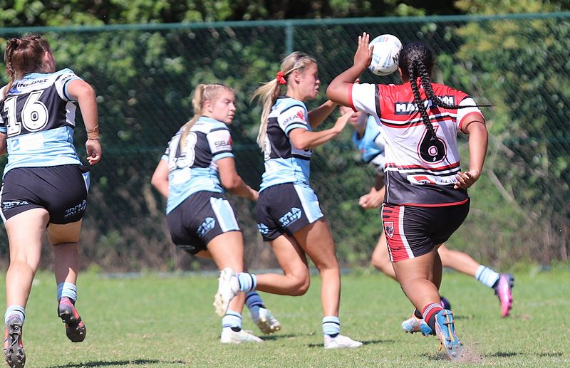 HNWP Rnd 2 BEARS v SHARKS