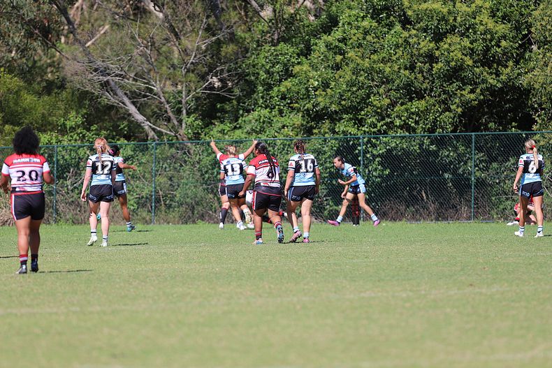 HNWP Rnd 2 BEARS v SHARKS