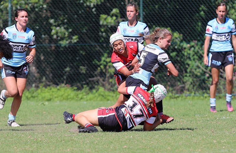 HNWP Rnd 2 BEARS v SHARKS