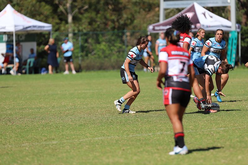 HNWP Rnd 2 BEARS v SHARKS