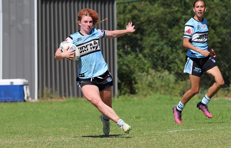 HNWP Rnd 2 BEARS v SHARKS