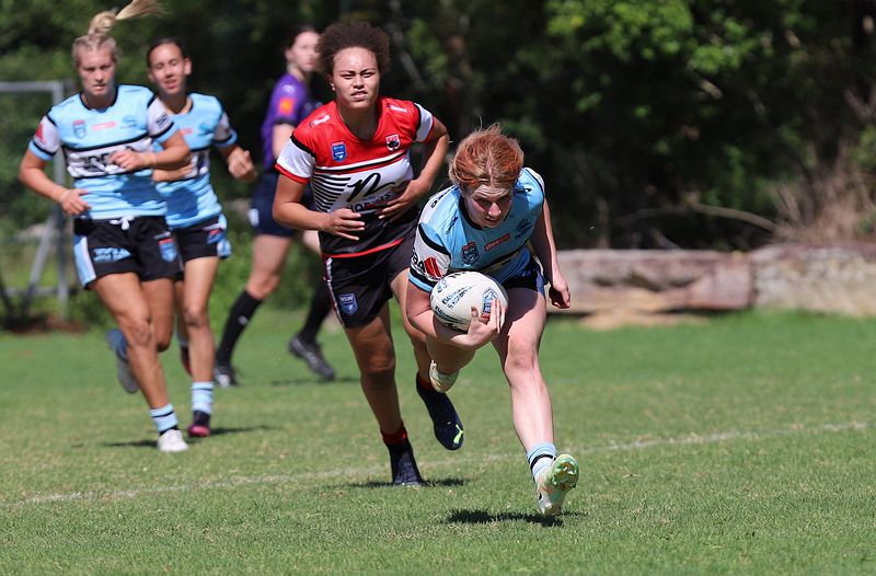 HNWP Rnd 2 BEARS v SHARKS