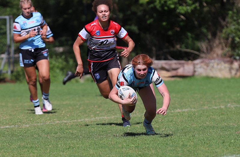 HNWP Rnd 2 BEARS v SHARKS