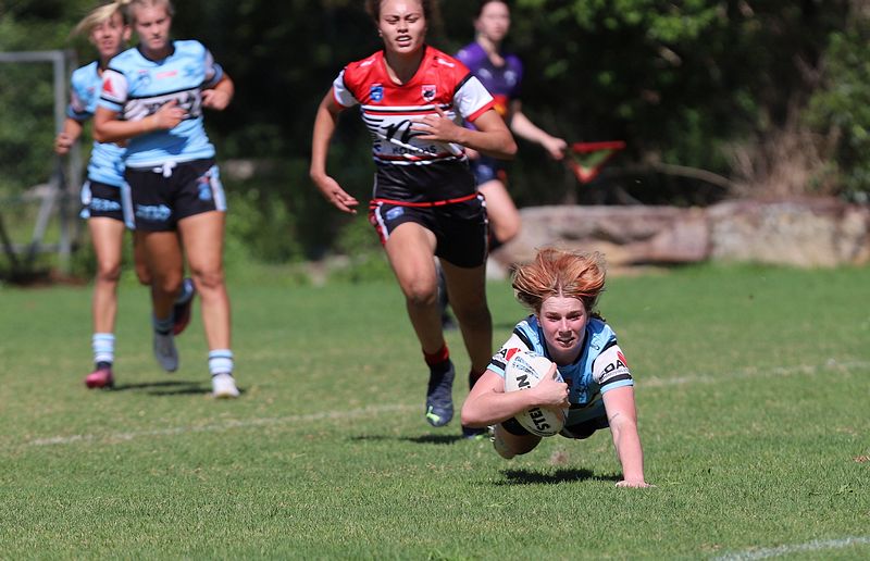 HNWP Rnd 2 BEARS v SHARKS