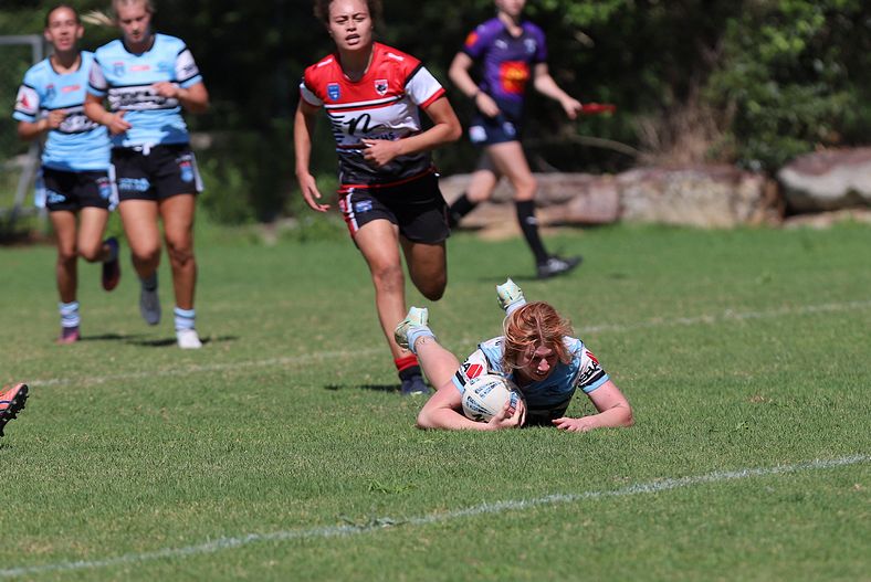 HNWP Rnd 2 BEARS v SHARKS