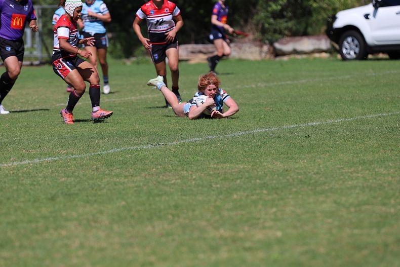 HNWP Rnd 2 BEARS v SHARKS