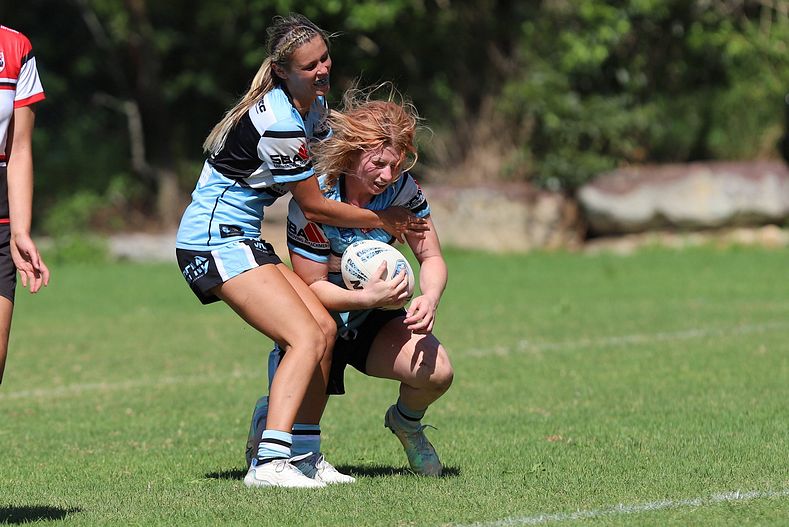 HNWP Rnd 2 BEARS v SHARKS
