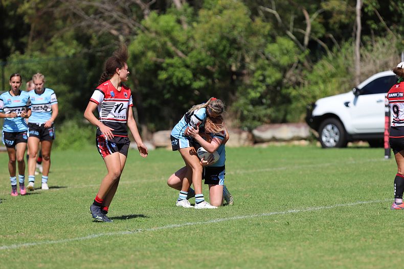 HNWP Rnd 2 BEARS v SHARKS