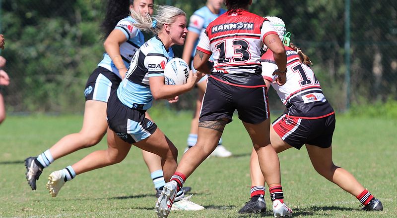 HNWP Rnd 2 BEARS v SHARKS