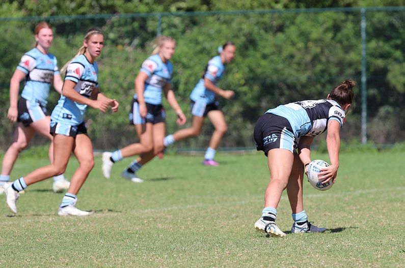 HNWP Rnd 2 BEARS v SHARKS