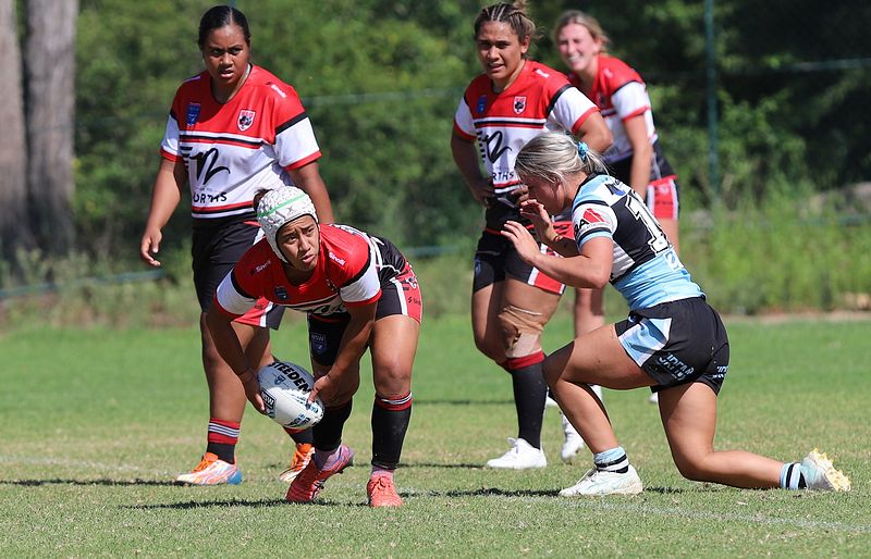 HNWP Rnd 2 BEARS v SHARKS