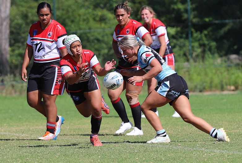 HNWP Rnd 2 BEARS v SHARKS