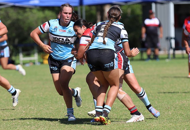 HNWP Rnd 2 BEARS v SHARKS