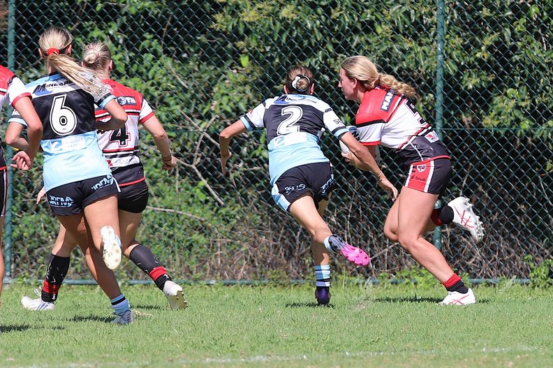 HNWP Rnd 2 BEARS v SHARKS