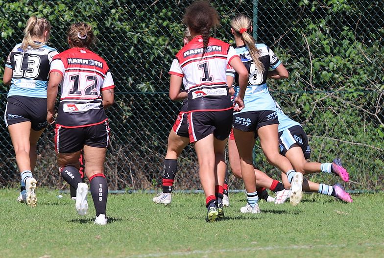 HNWP Rnd 2 BEARS v SHARKS