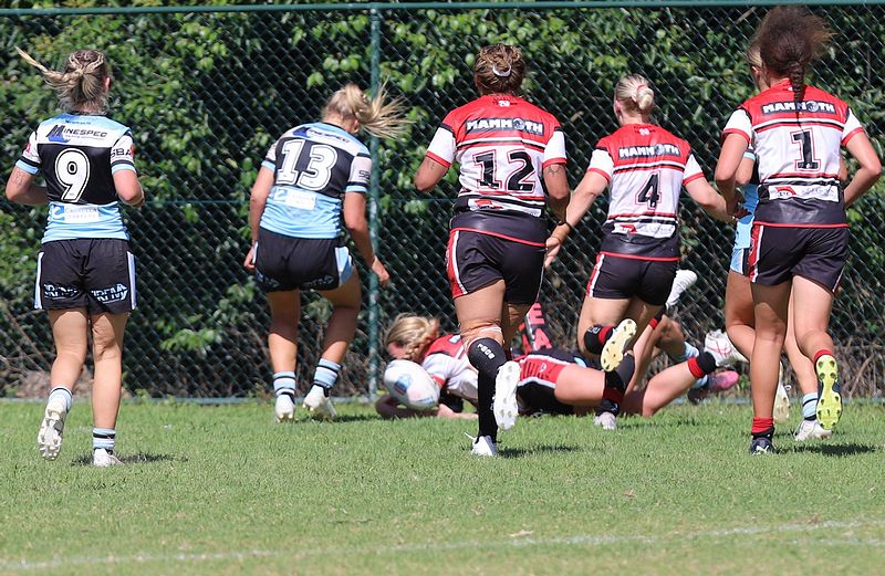 HNWP Rnd 2 BEARS v SHARKS