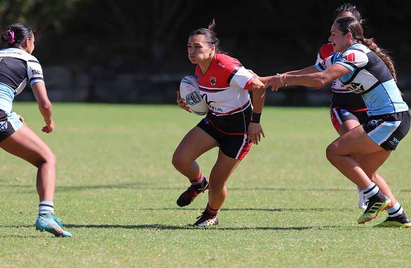 HNWP Rnd 2 BEARS v SHARKS