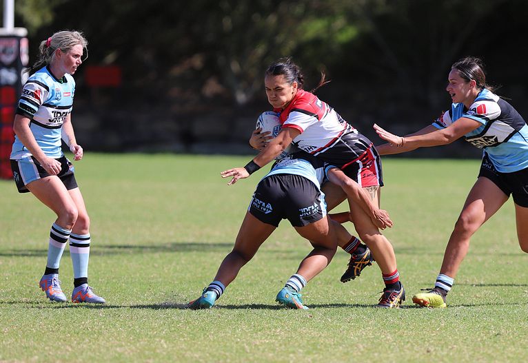 HNWP Rnd 2 BEARS v SHARKS