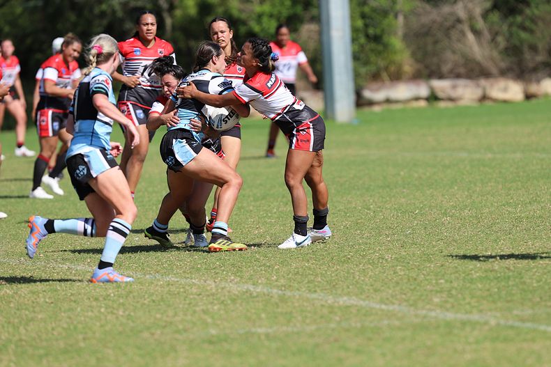 HNWP Rnd 2 BEARS v SHARKS