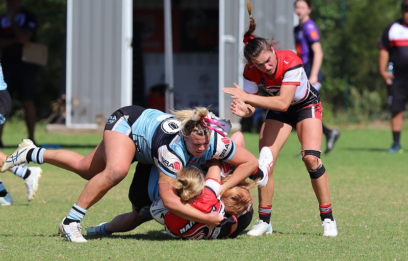 HNWP Rnd 2 BEARS v SHARKS