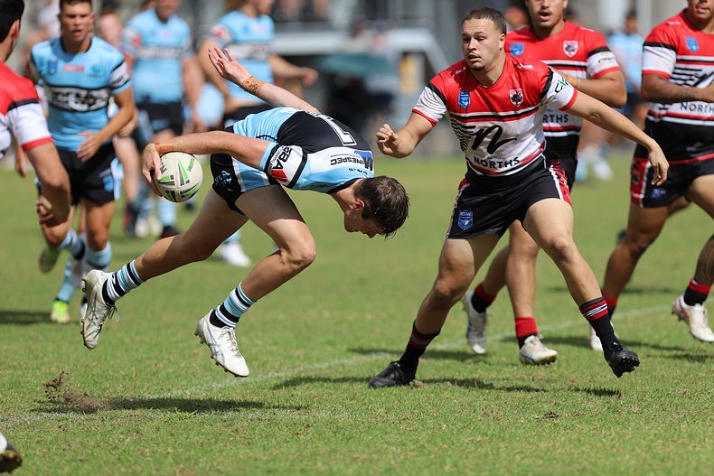 SGB Rnd 2 BEARS vs SHARKS