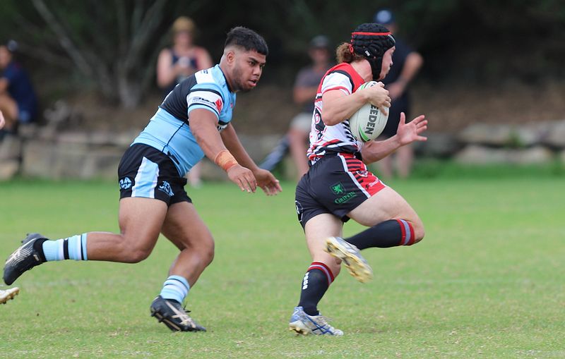 SGB Rnd 2 BEARS vs SHARKS