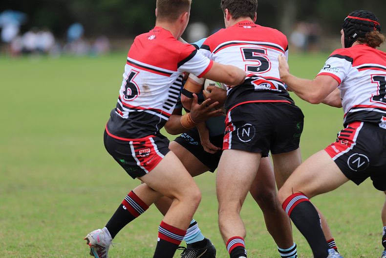 SGB Rnd 2 BEARS vs SHARKS