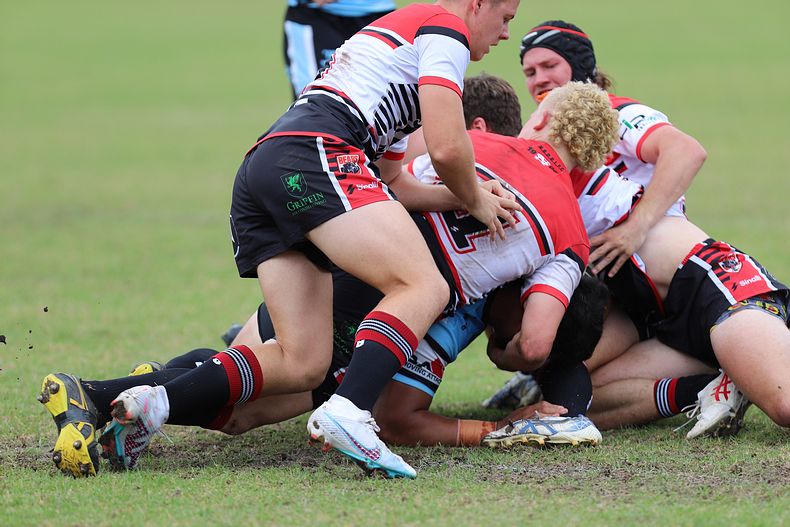 SGB Rnd 2 BEARS vs SHARKS
