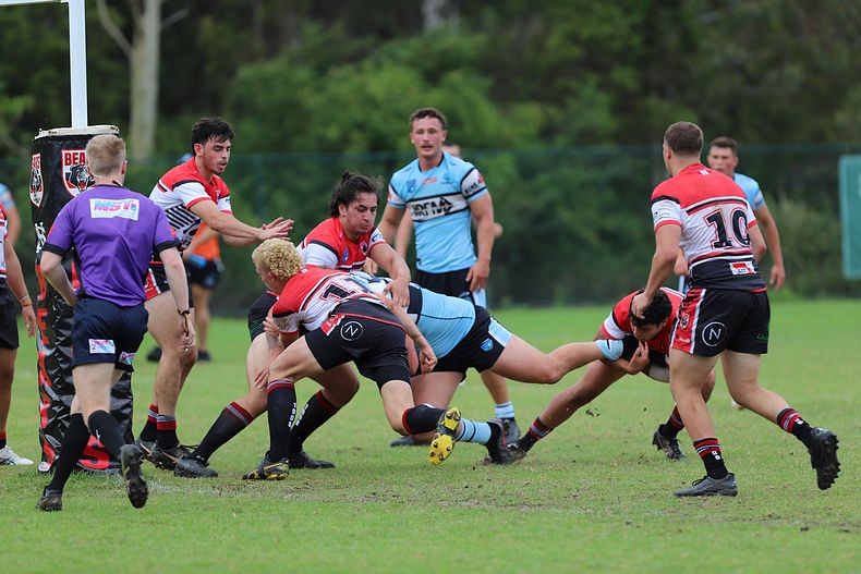 SGB Rnd 2 BEARS vs SHARKS