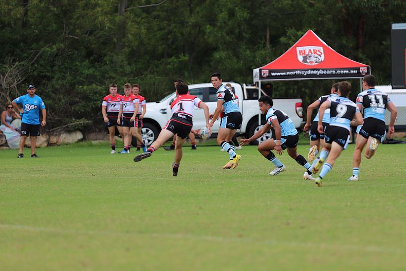 SGB Rnd 2 BEARS vs SHARKS