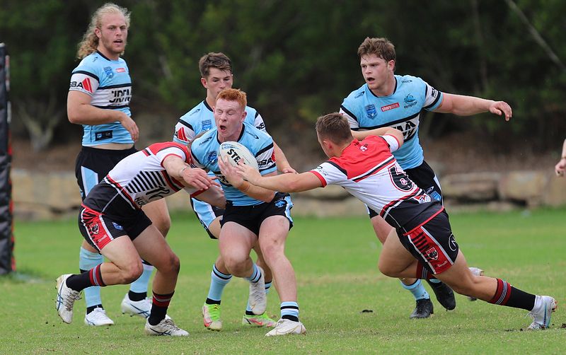 SGB Rnd 2 BEARS vs SHARKS